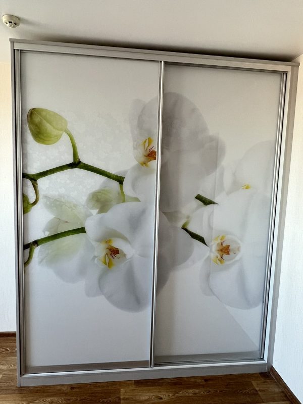 Шкаф с фотопечатью №11 - фото1