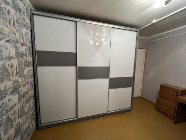 Линейный шкаф-купе №17 - фото1